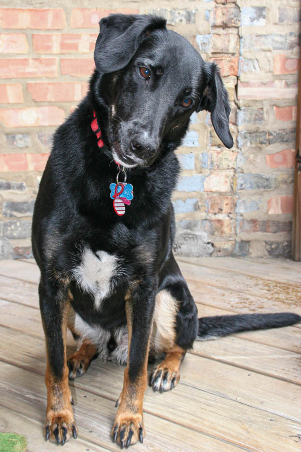 Parker at 3 years